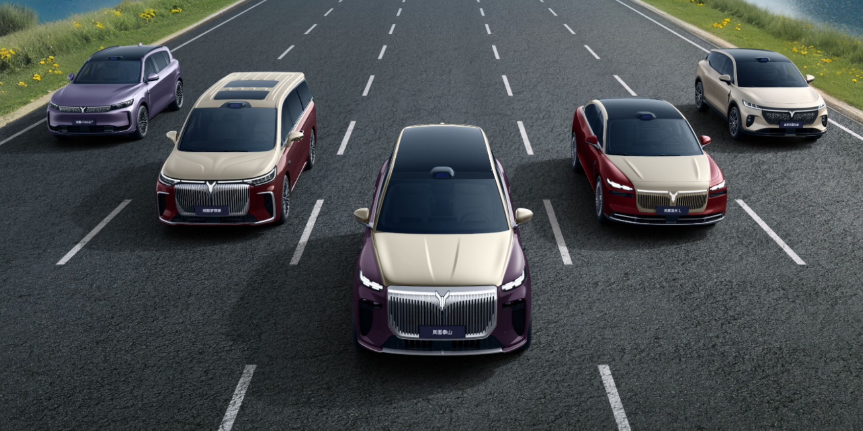 2025 VOYAH Dreamer Price and Review !