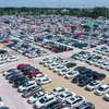 From Asia‘s Largest Car Market to Your Container: YL Automobile
