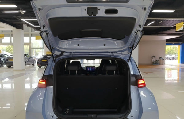 Used BYD Seagull