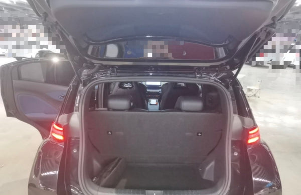 Used BYD Seagull