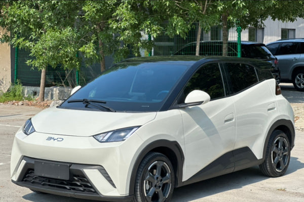 Used BYD Seagull