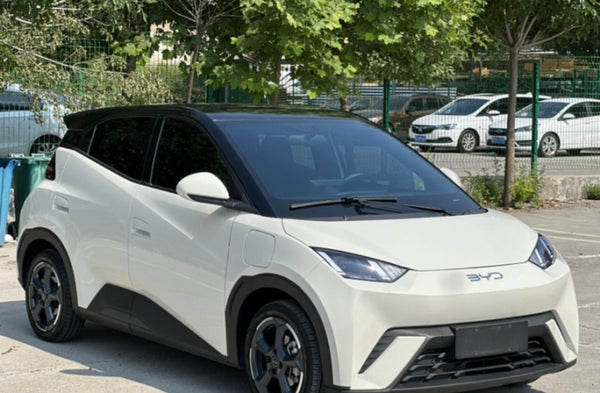 Used BYD Seagull