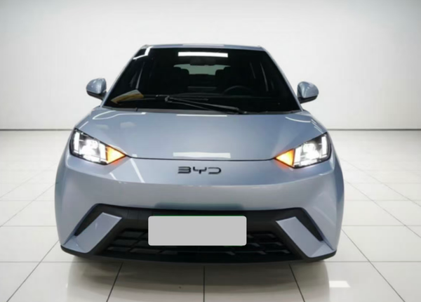 Used BYD Seagull