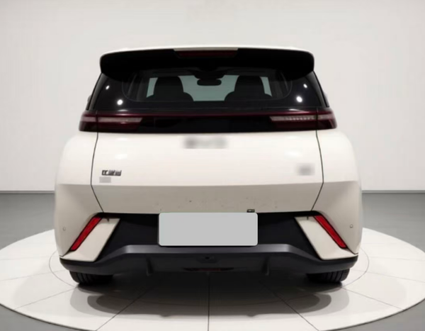 Used BYD Seagull